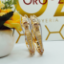 New Gravitate Gold Bangles